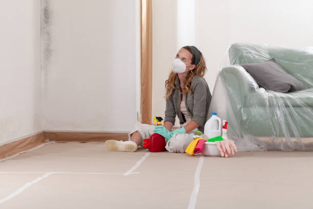 Reliable Black Mold Removal contractor in Capron, IL by WQB Mold Removal
